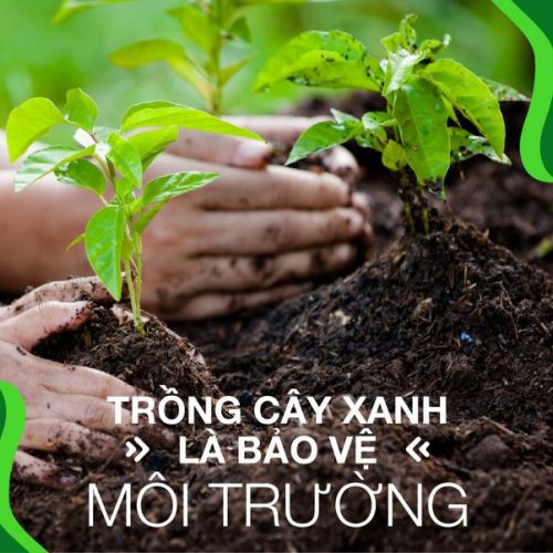 KẾT QUẢ CHIẾN DỊCH GÂY QUỸ TRỒNG CÂY VỚI WEAPON
