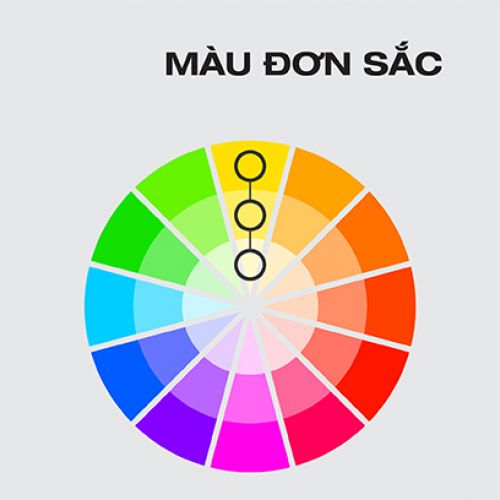 XU HƯỚNG THIẾT KẾ MÀU ĐƠN SẮC TRONG NỘI THẤT