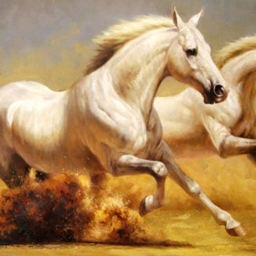 MÀU SẮC PHONG THỦY CHO NGƯỜI TUỔI NGỌ 