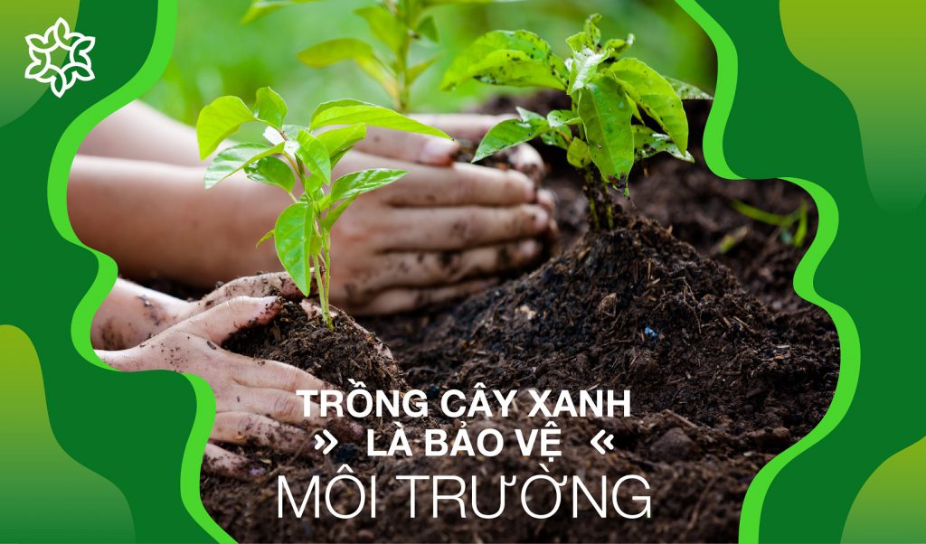 1623662273188_trồng cây xanh1