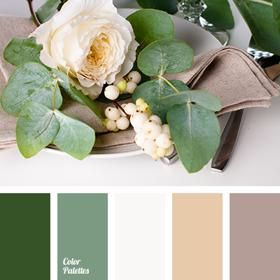 color-palette-2456