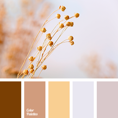 cvetovaya-palitra-3936