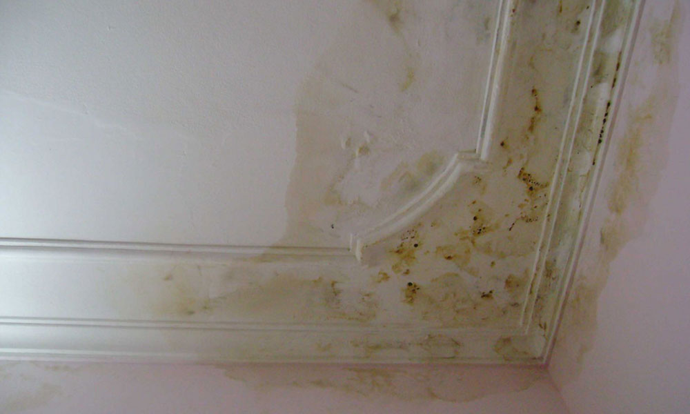 hien-tuong-tham-dot-tran-nha-kcc-viet-nam